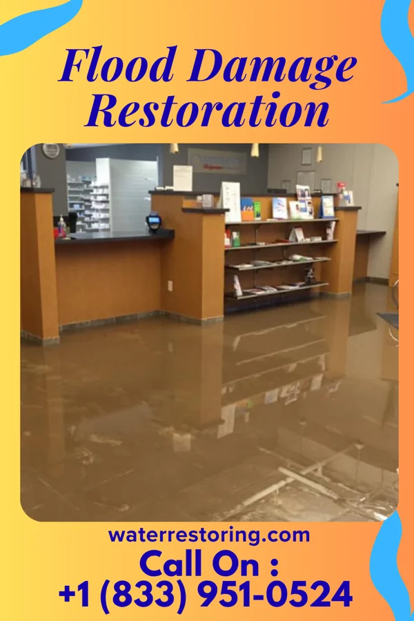 Flood Damage Restoration in Holly Hills, CO